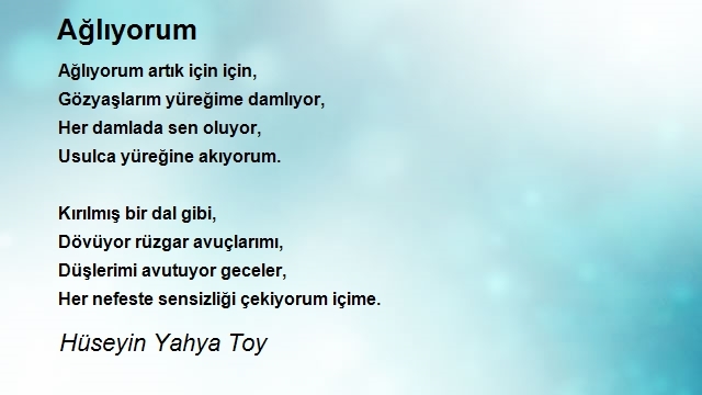 Hüseyin Yahya Toy