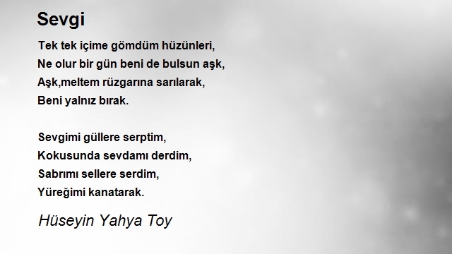 Hüseyin Yahya Toy