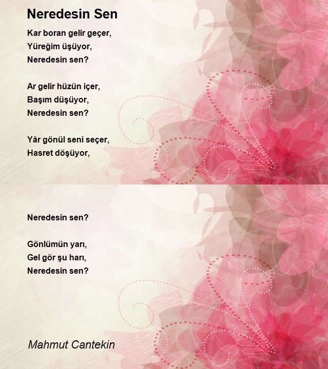 Mahmut Cantekin