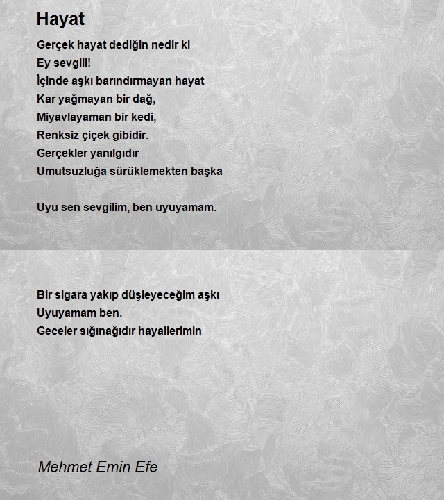 Mehmet Emin Efe