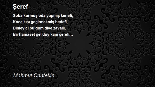 Mahmut Cantekin