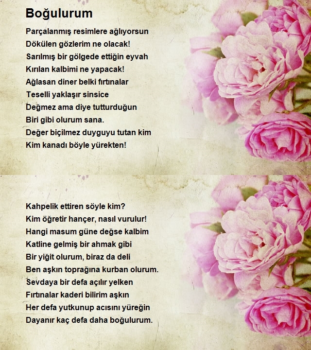 Altan İlhan Arslan