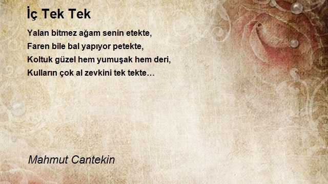 Mahmut Cantekin