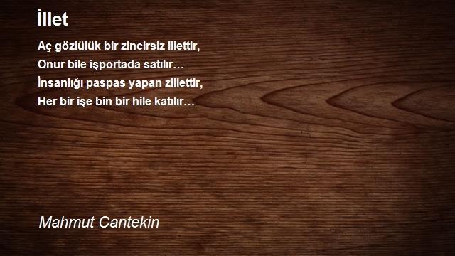 Mahmut Cantekin