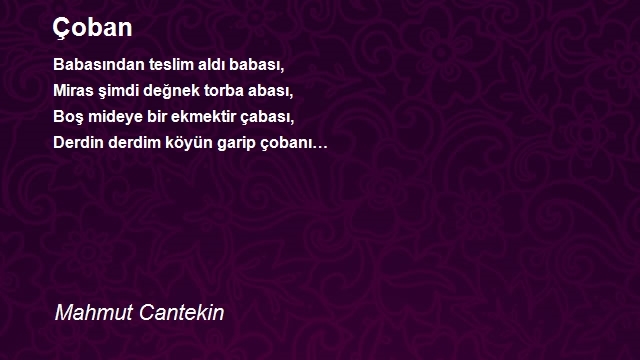 Mahmut Cantekin