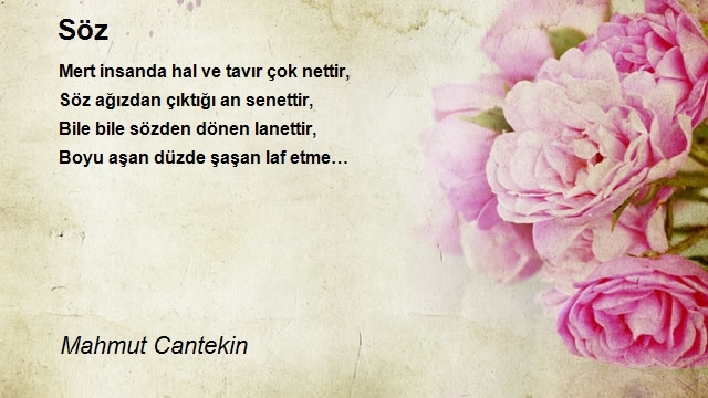 Mahmut Cantekin