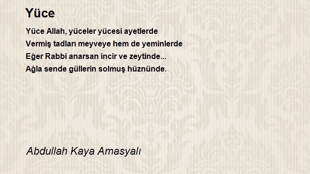 Abdullah Kaya Amasyalı