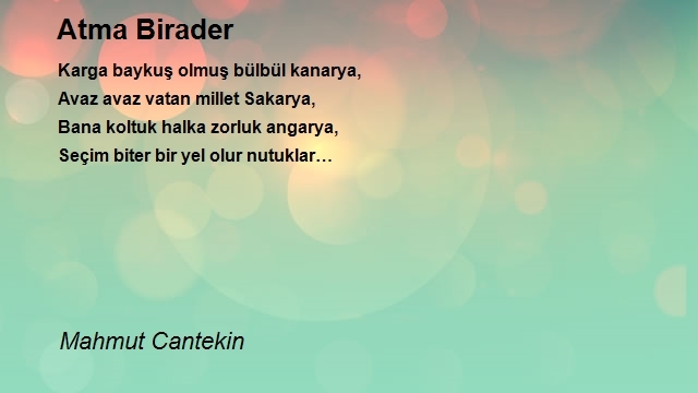 Mahmut Cantekin