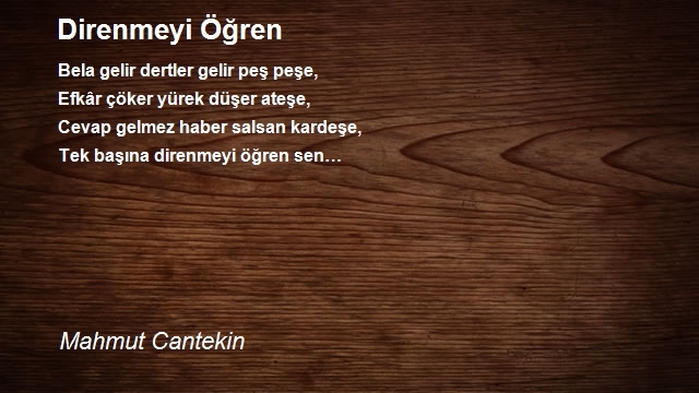 Mahmut Cantekin