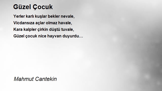 Mahmut Cantekin