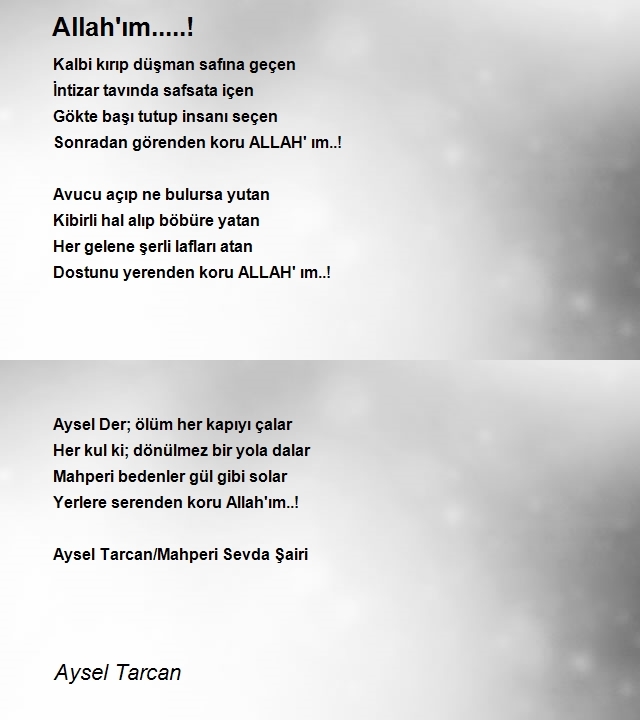 Aysel Tarcan