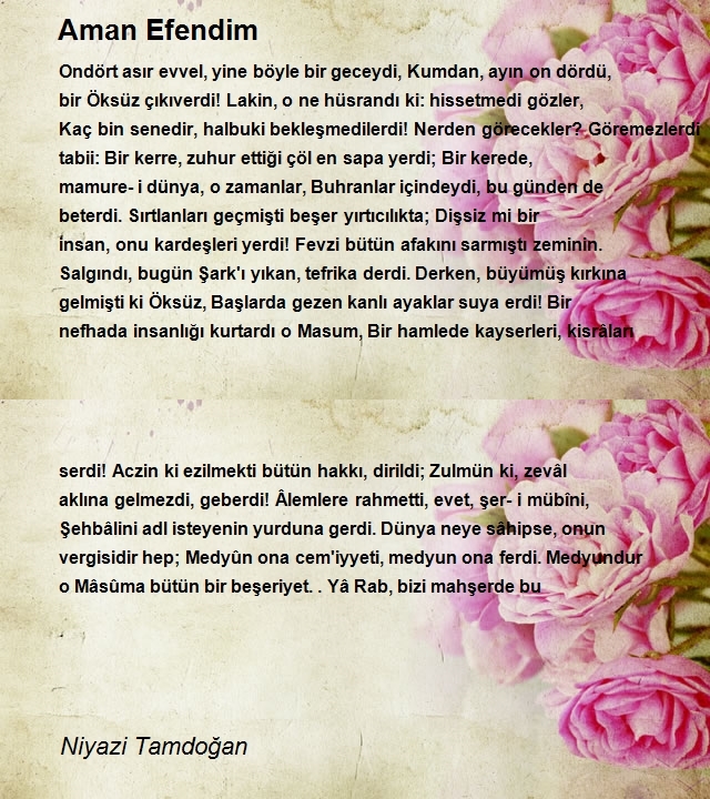 Niyazi Tamdoğan