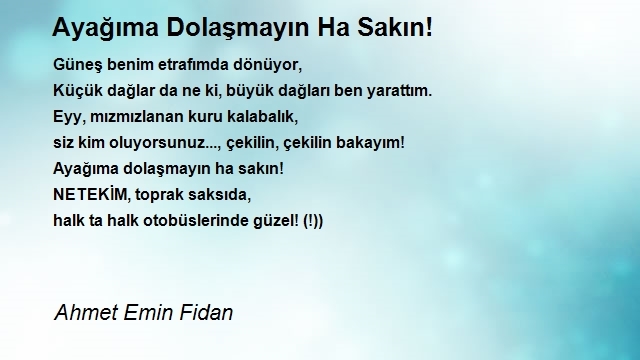 Ahmet Emin Fidan