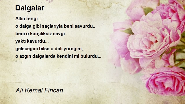 Ali Kemal Fincan