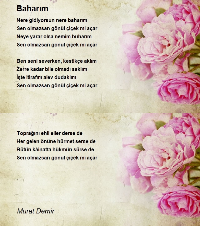 Murat Demir