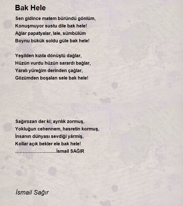 İsmail Sağır