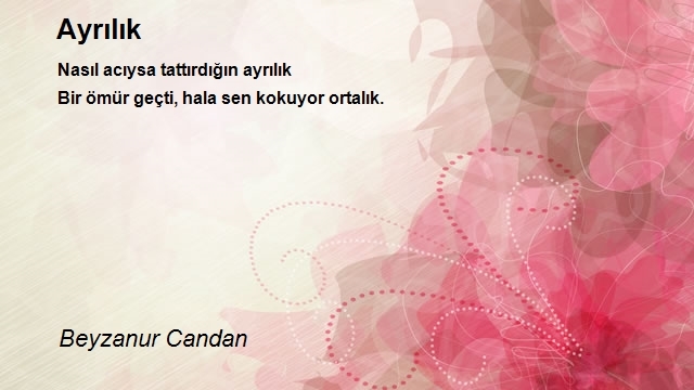 Beyzanur Candan