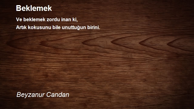 Beyzanur Candan