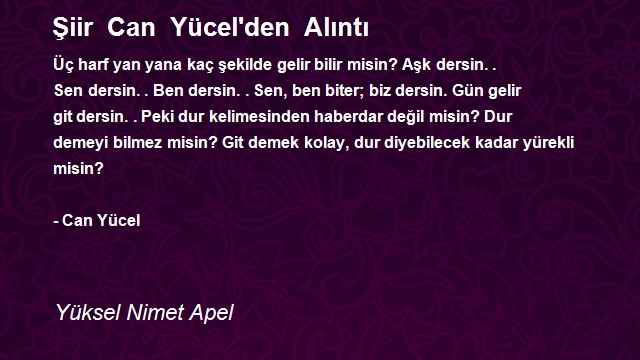 Yüksel Nimet Apel