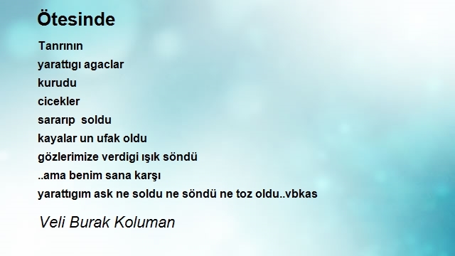 Veli Burak Koluman