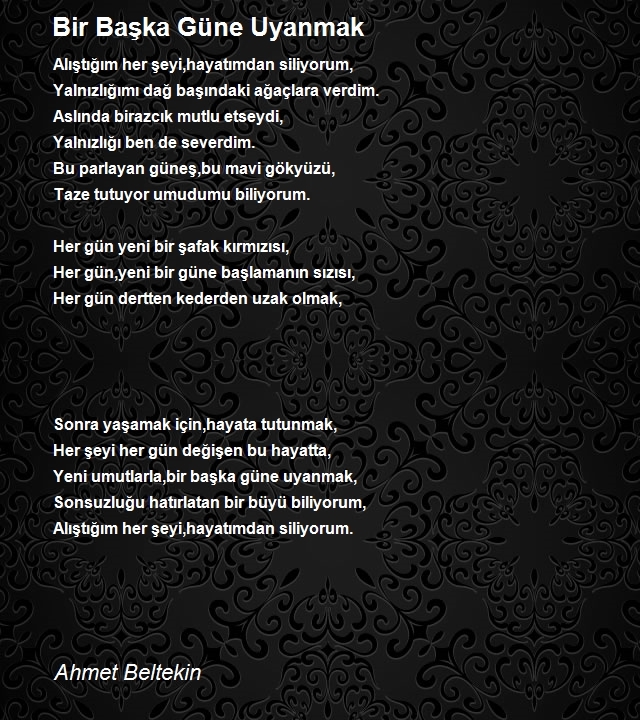 Ahmet Beltekin