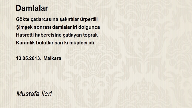 Mustafa İleri