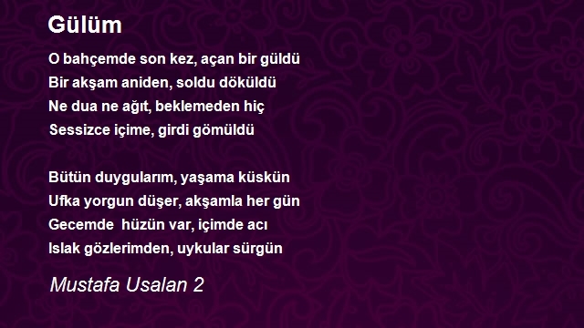 Mustafa Usalan 2