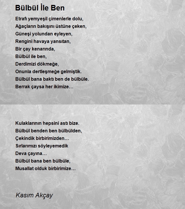 Kasım Akçay