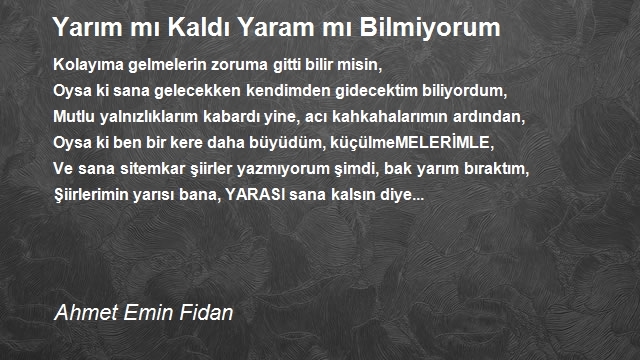 Ahmet Emin Fidan