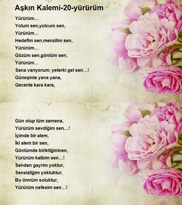 Yunus Yavuz 2