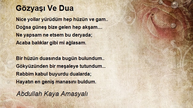 Abdullah Kaya Amasyalı