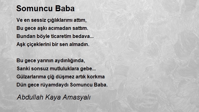 Abdullah Kaya Amasyalı