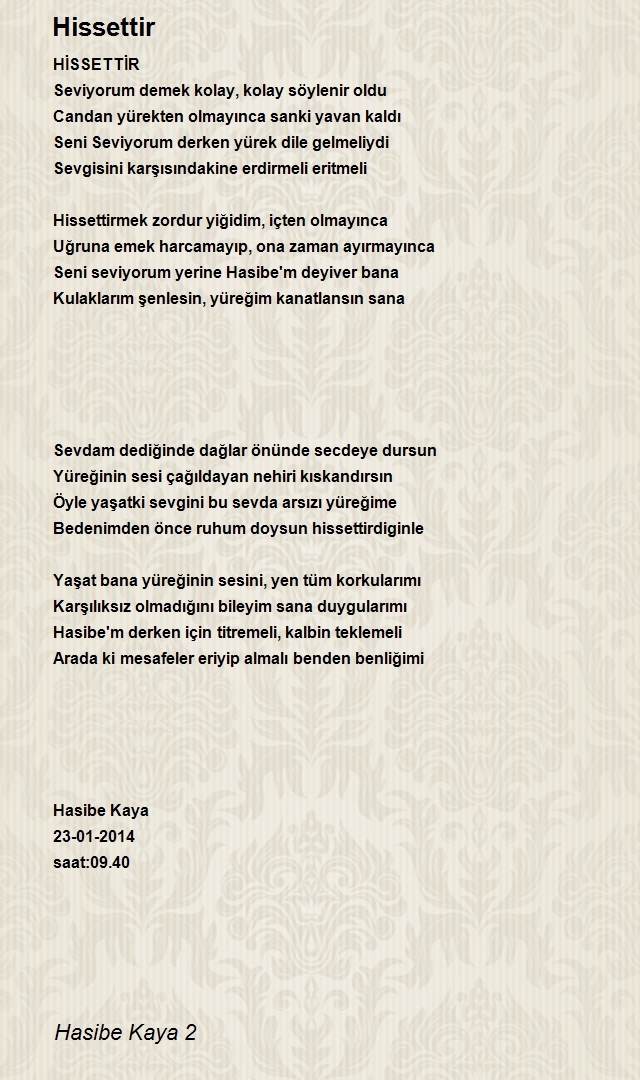 Hasibe Kaya 2