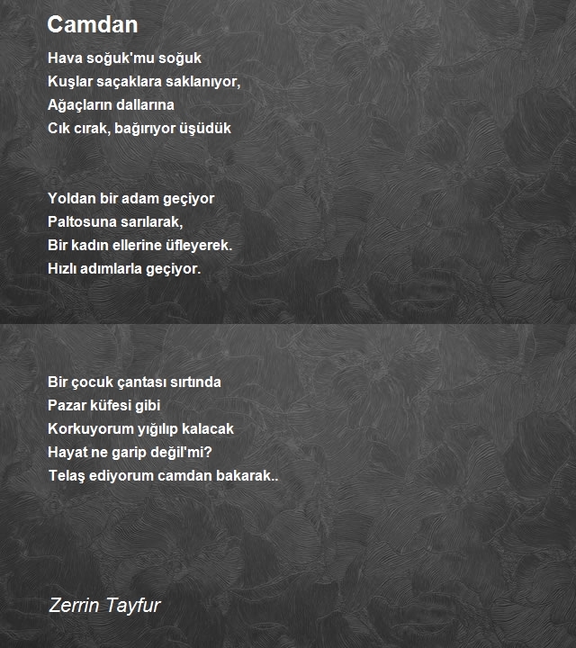 Zerrin Tayfur