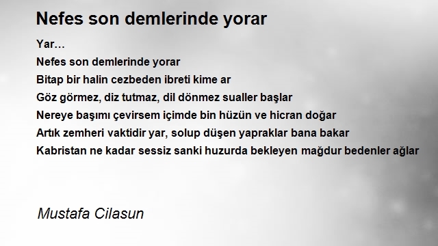 Mustafa Cilasun