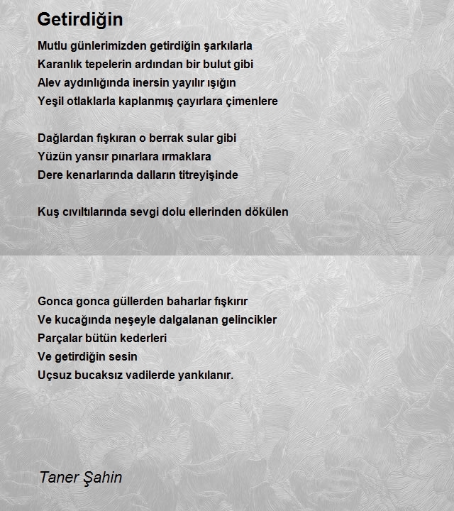 Taner Şahin