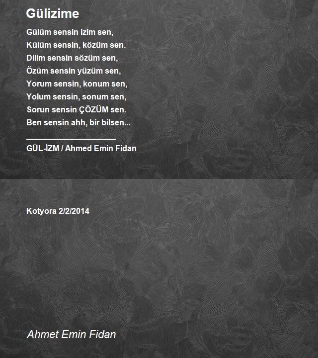 Ahmet Emin Fidan