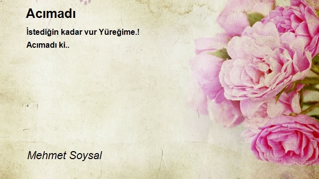 Mehmet Soysal