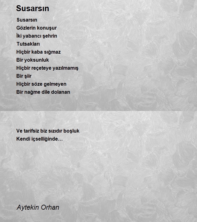 Aytekin Orhan