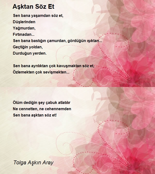 Tolga Aşkın Aray