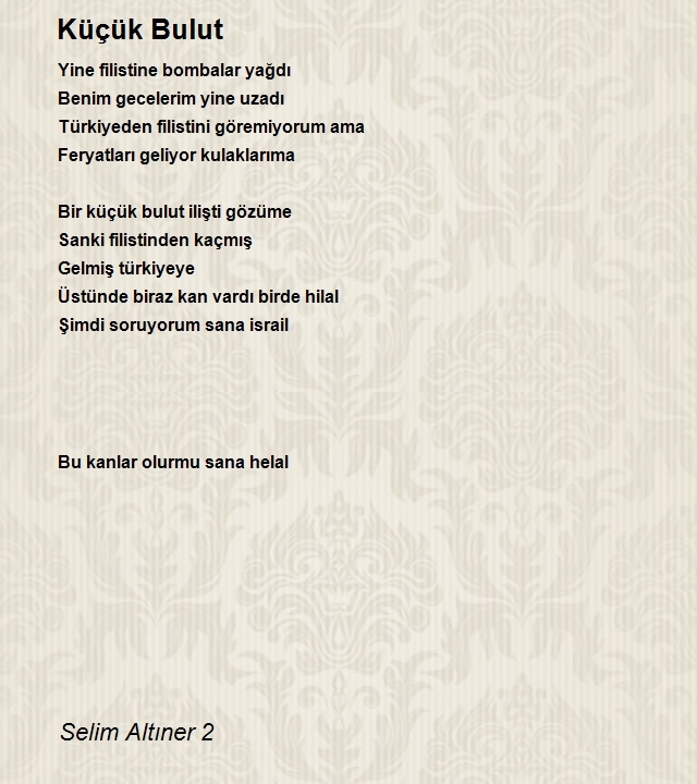 Selim Altıner 2