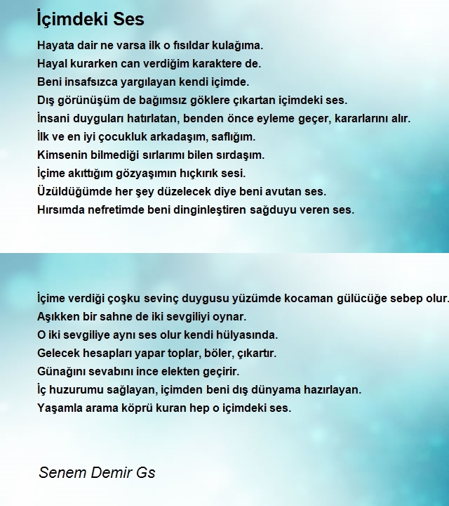 Senem Demir Gs 1