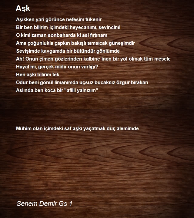 Senem Demir Gs 1