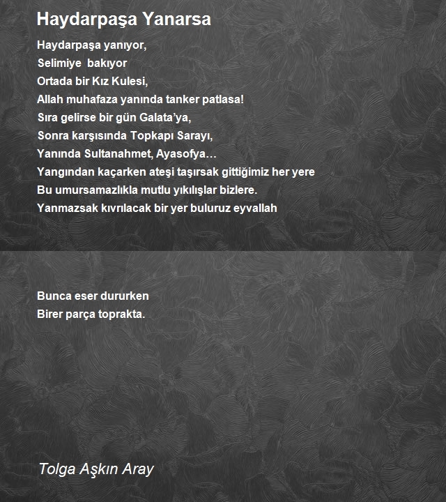 Tolga Aşkın Aray