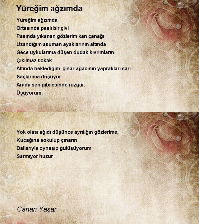 Canan Yaşar