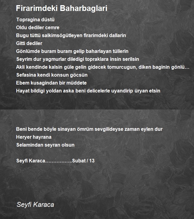 Seyfi Karaca