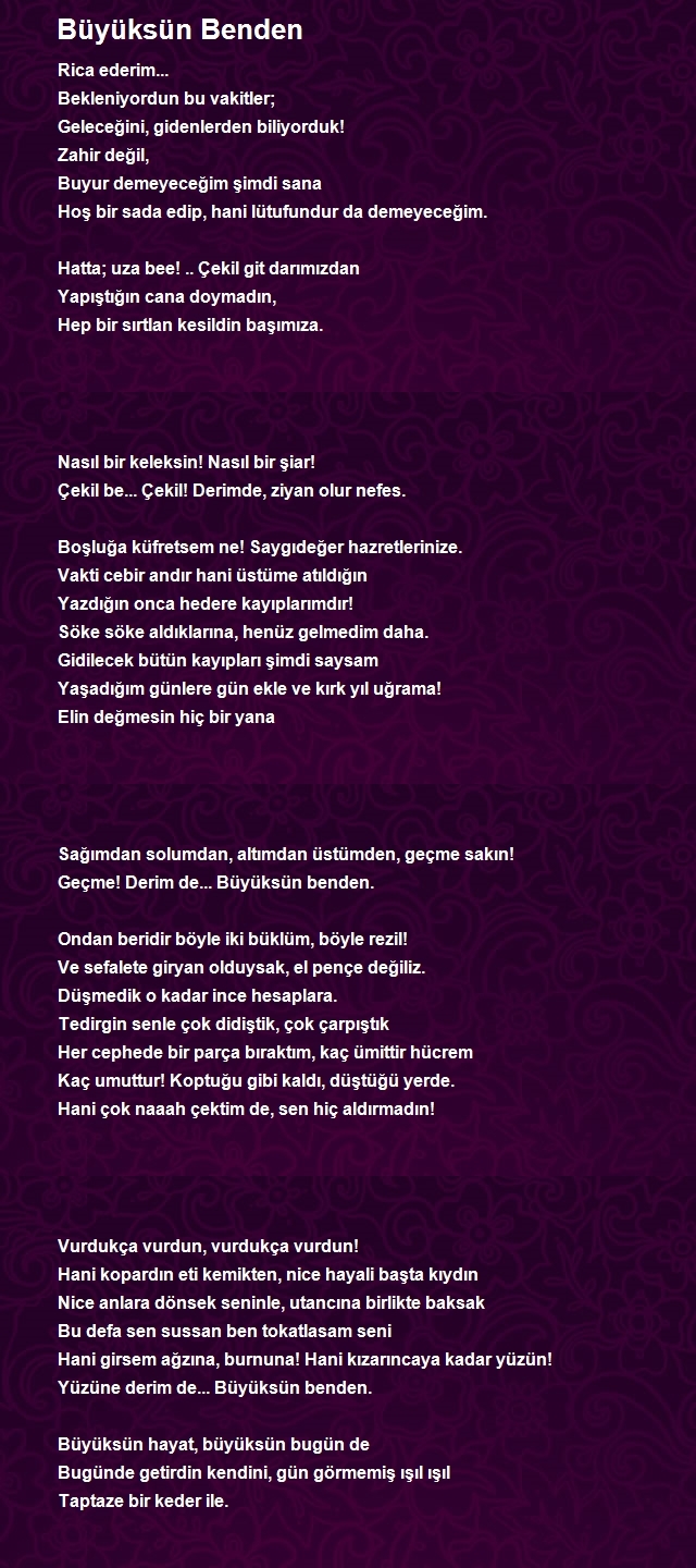 Altan İlhan Arslan