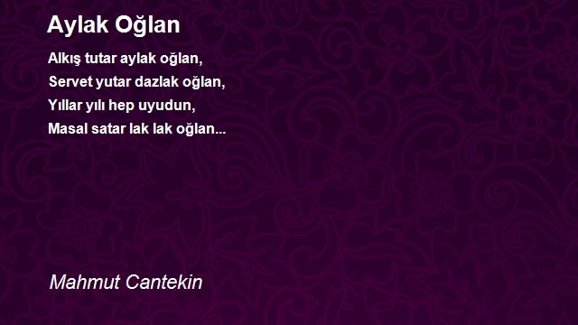 Mahmut Cantekin