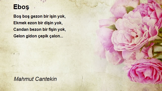 Mahmut Cantekin