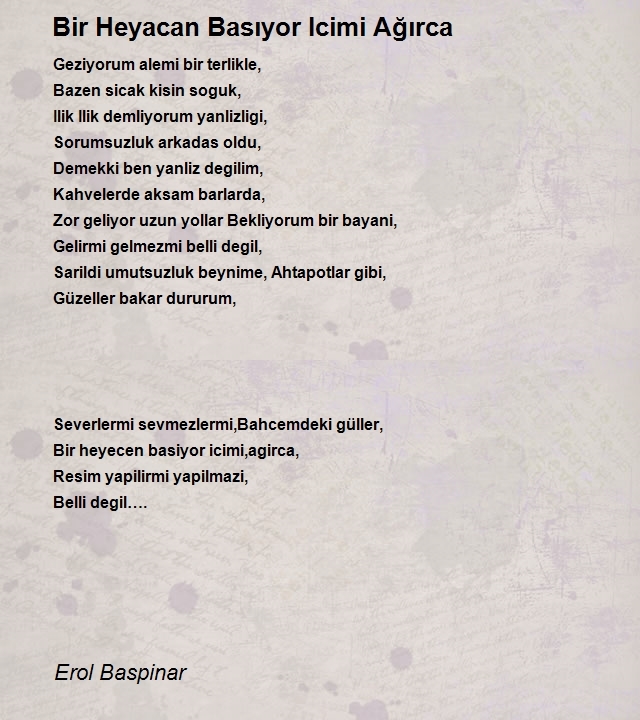 Ressam Erol Baspinar